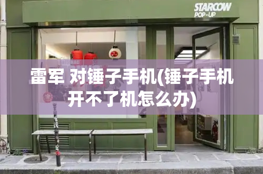 雷军 对锤子手机(锤子手机开不了机怎么办)-第1张图片-星选测评