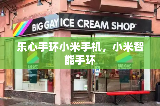 乐心手环小米手机，小米智能手环-第1张图片-星选测评