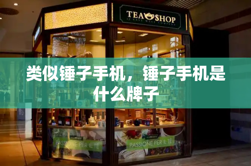 类似锤子手机，锤子手机是什么牌子-第1张图片-星选测评