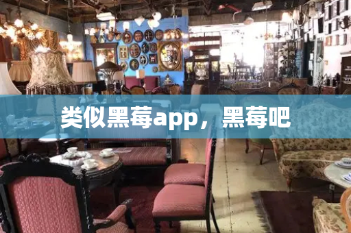 类似黑莓app，黑莓吧-第1张图片-星选测评