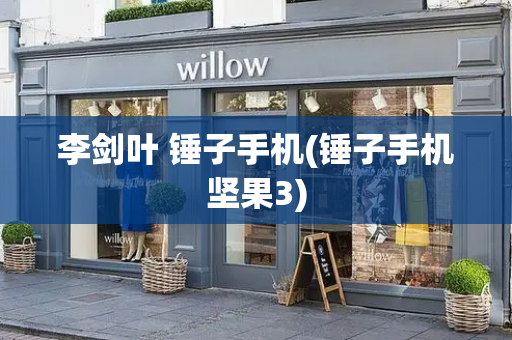 李剑叶 锤子手机(锤子手机坚果3)