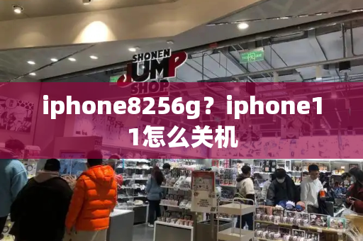 iphone8256g？iphone11怎么关机-第1张图片-星选测评