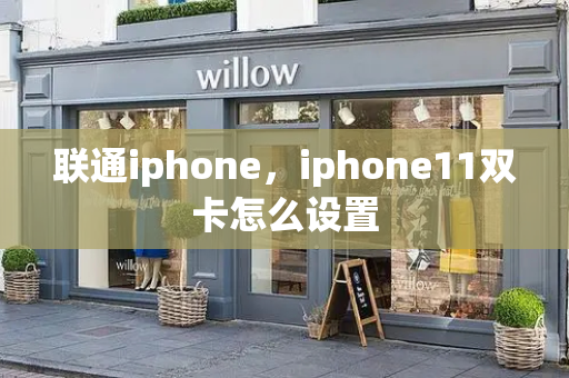 联通iphone，iphone11双卡怎么设置