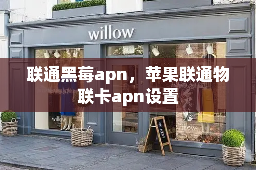 联通黑莓apn，苹果联通物联卡apn设置-第1张图片-星选测评