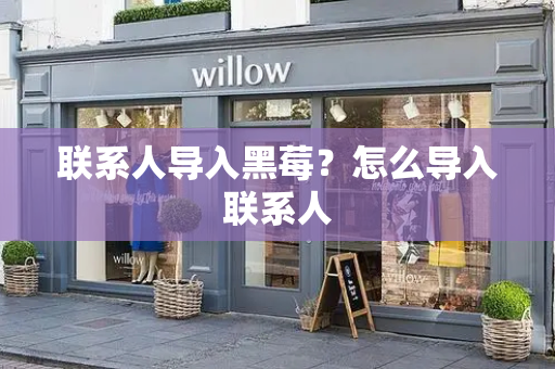 联系人导入黑莓？怎么导入联系人