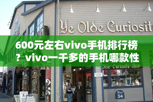 600元左右vivo手机排行榜？vivo一千多的手机哪款性价比高-第1张图片-星选测评