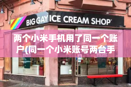 两个小米手机用了同一个账户(同一个小米账号两台手机数据共享吗)-第1张图片-星选测评