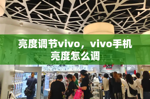 亮度调节vivo，vivo手机亮度怎么调