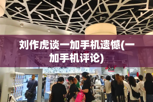 刘作虎谈一加手机遗憾(一加手机评论)-第1张图片-星选测评