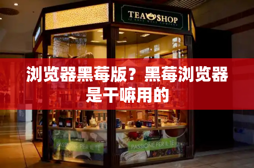 浏览器黑莓版？黑莓浏览器是干嘛用的