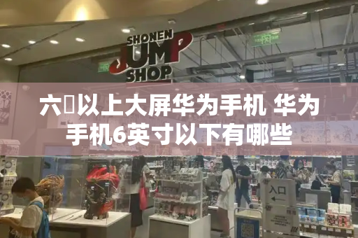 六吋以上大屏华为手机 华为手机6英寸以下有哪些-第1张图片-星选测评