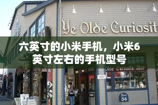六英寸的小米手机，小米6英寸左右的手机型号-第1张图片-星选测评