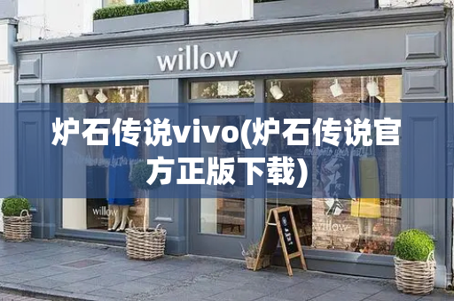炉石传说vivo(炉石传说官方正版下载)