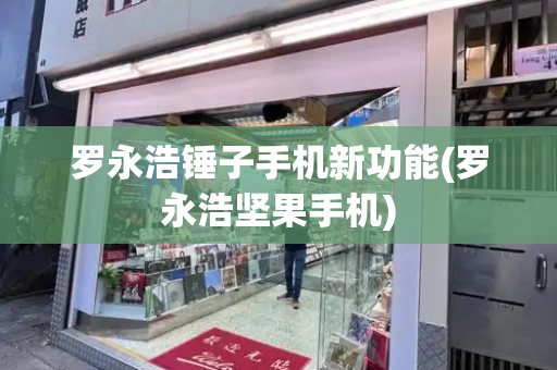 罗永浩锤子手机新功能(罗永浩坚果手机)
