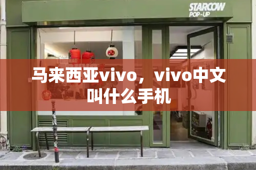 马来西亚vivo，vivo中文叫什么手机