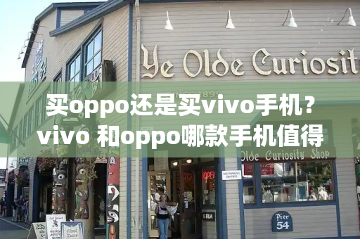 买oppo还是买vivo手机？vivo 和oppo哪款手机值得买