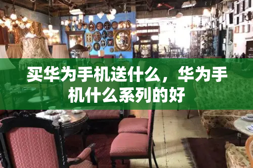 买华为手机送什么，华为手机什么系列的好-第1张图片-星选测评