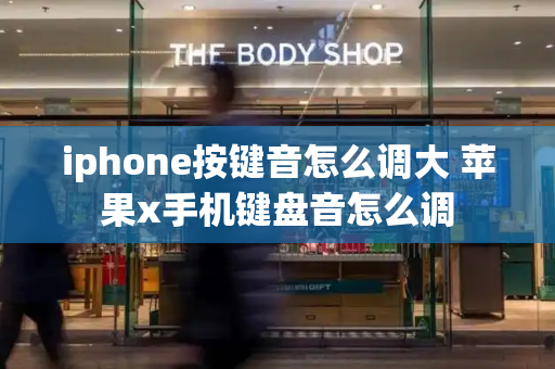 iphone按键音怎么调大 苹果x手机键盘音怎么调