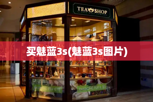 买魅蓝3s(魅蓝3s图片)