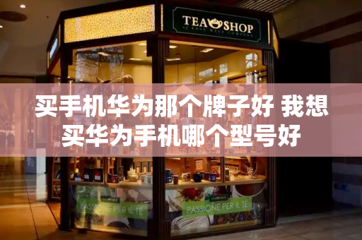 买手机华为那个牌子好 我想买华为手机哪个型号好-第1张图片-星选测评