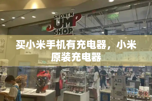 买小米手机有充电器，小米原装充电器-第1张图片-星选测评