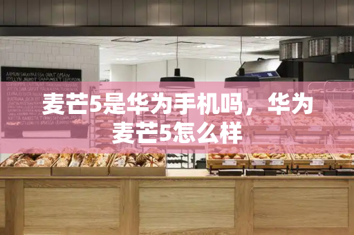 麦芒5是华为手机吗，华为麦芒5怎么样-第1张图片-星选测评