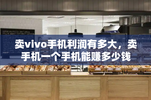 卖vivo手机利润有多大，卖手机一个手机能赚多少钱-第1张图片-星选测评