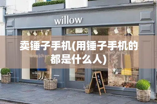 卖锤子手机(用锤子手机的都是什么人)-第1张图片-星选测评
