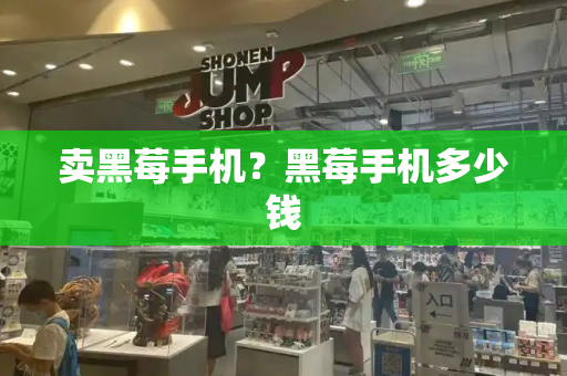 卖黑莓手机？黑莓手机多少钱-第1张图片-星选测评