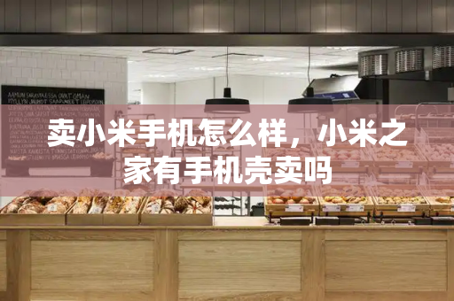 卖小米手机怎么样，小米之家有手机壳卖吗-第1张图片-星选测评