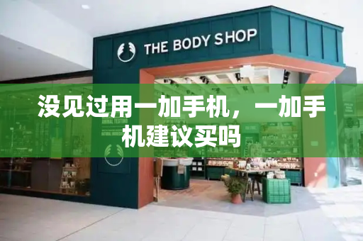 没见过用一加手机，一加手机建议买吗-第1张图片-星选测评