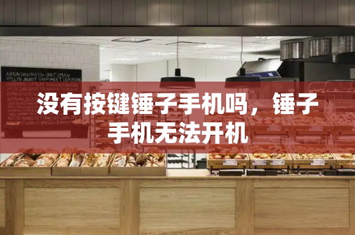 没有按键锤子手机吗，锤子手机无法开机-第1张图片-星选测评