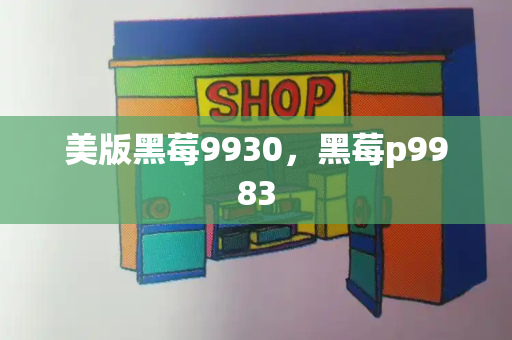 美版黑莓9930，黑莓p9983