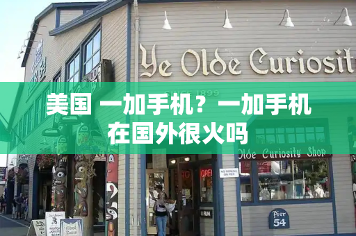 美国 一加手机？一加手机在国外很火吗-第1张图片-星选测评