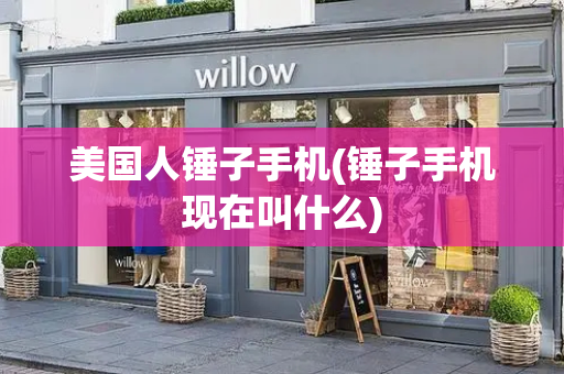美国人锤子手机(锤子手机现在叫什么)-第1张图片-星选测评
