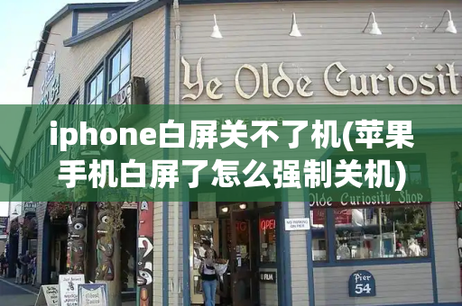 iphone白屏关不了机(苹果手机白屏了怎么强制关机)-第1张图片-星选测评