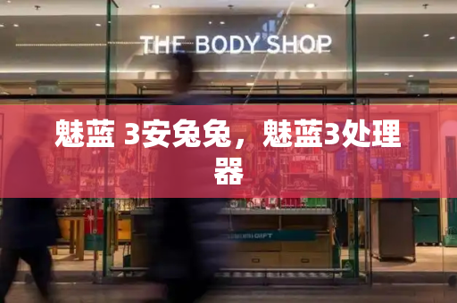 魅蓝 3安兔兔，魅蓝3处理器