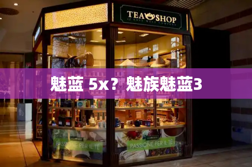 魅蓝 5x？魅族魅蓝3-第1张图片-星选测评