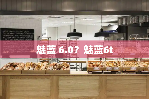 魅蓝 6.0？魅蓝6t-第1张图片-星选测评