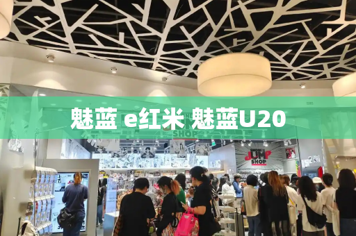 魅蓝 e红米 魅蓝U20-第1张图片-星选测评