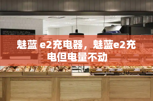 魅蓝 e2充电器，魅蓝e2充电但电量不动
