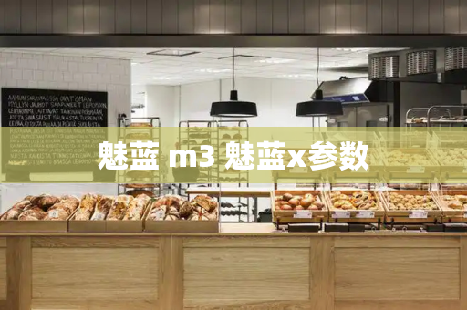 魅蓝 m3 魅蓝x参数
