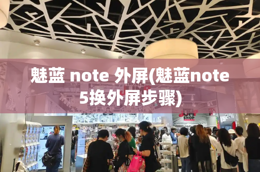 魅蓝 note 外屏(魅蓝note5换外屏步骤)-第1张图片-星选测评
