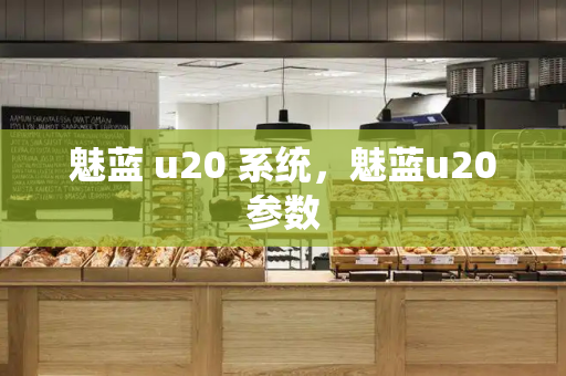 魅蓝 u20 系统，魅蓝u20参数-第1张图片-星选测评