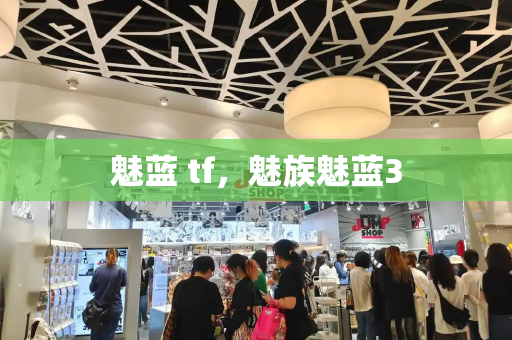魅蓝 tf，魅族魅蓝3-第1张图片-星选测评
