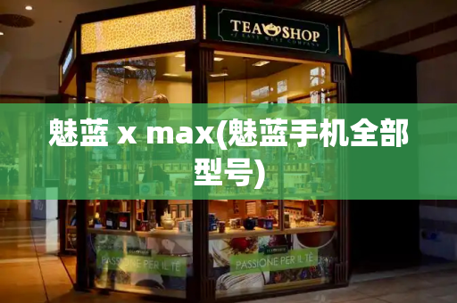 魅蓝 x max(魅蓝手机全部型号)