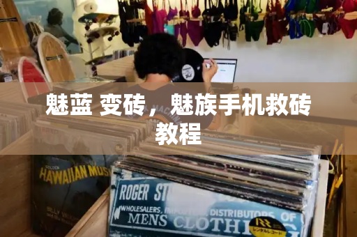 魅蓝 变砖，魅族手机救砖教程-第1张图片-星选测评