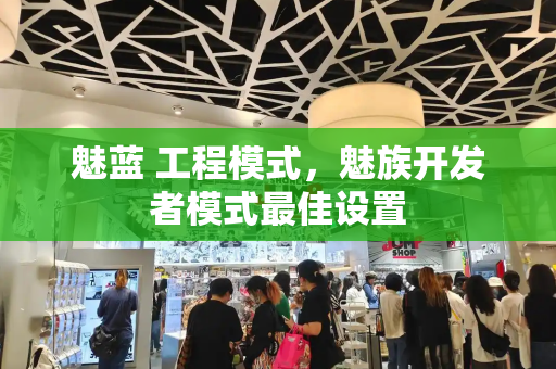 魅蓝 工程模式，魅族开发者模式最佳设置