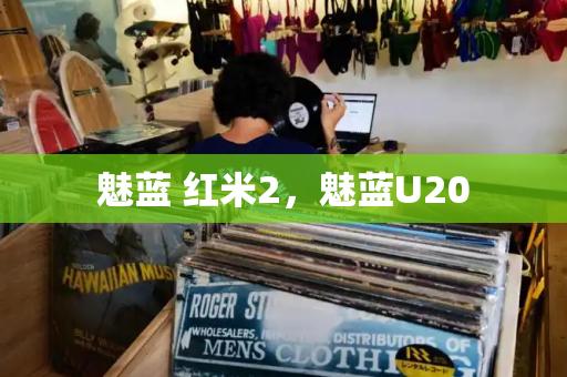 魅蓝 红米2，魅蓝U20-第1张图片-星选测评