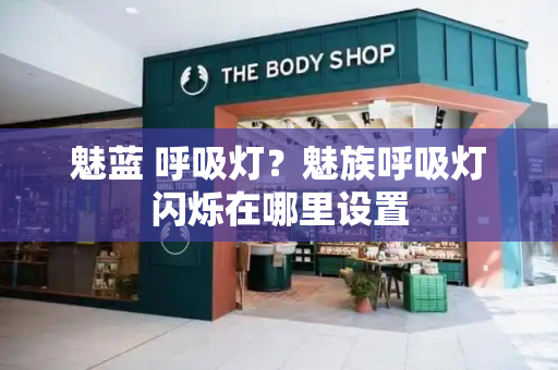 魅蓝 呼吸灯？魅族呼吸灯闪烁在哪里设置-第1张图片-星选测评